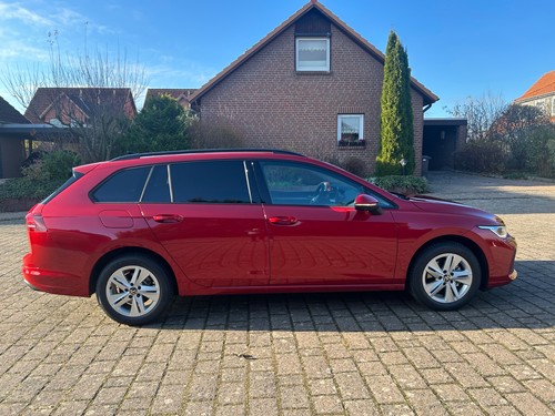 Golf variant bj 2025 - golf, ,